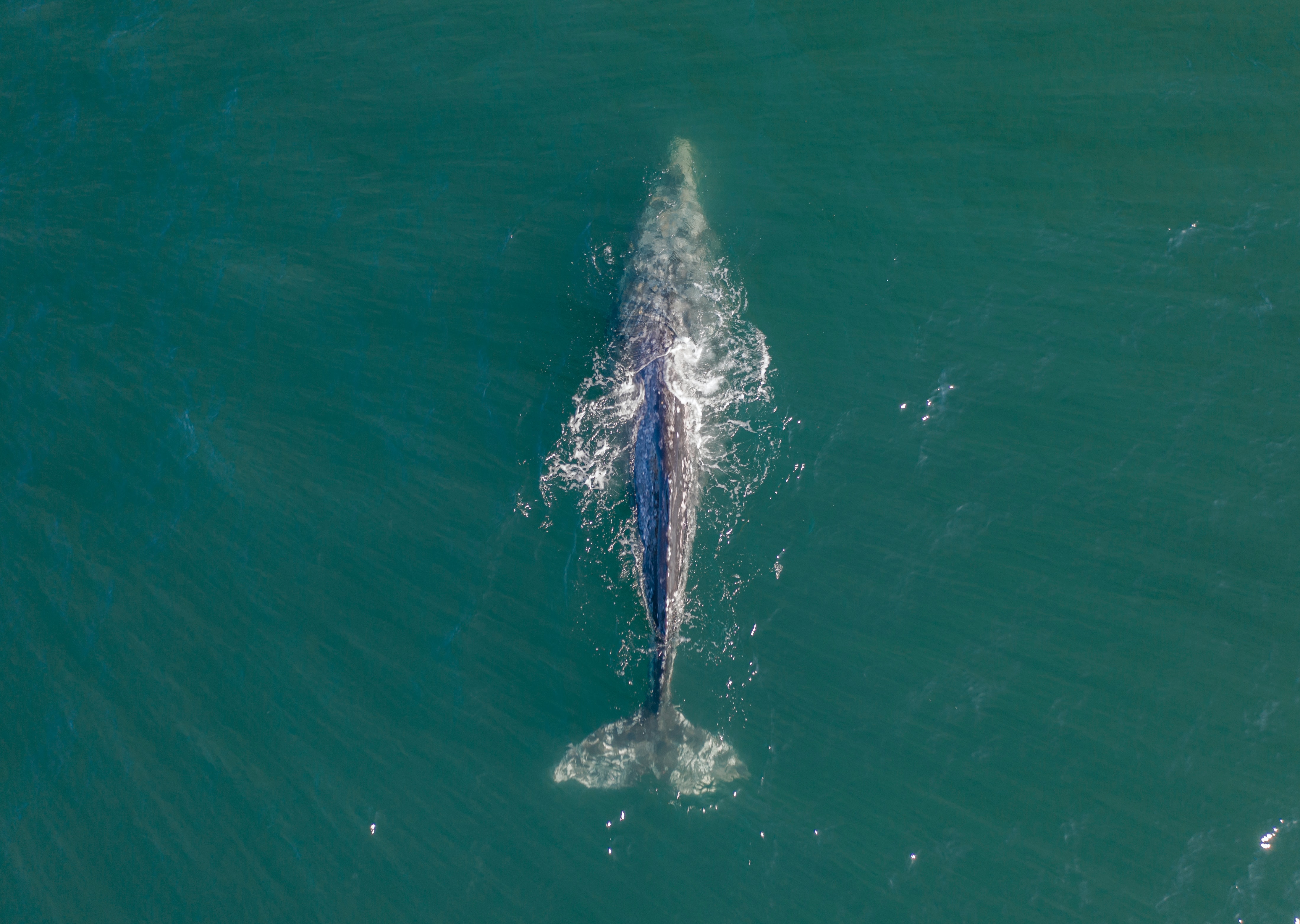 by Dan Meyers (unsplash.com)